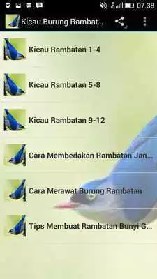 Play Kicau Burung Rambatan