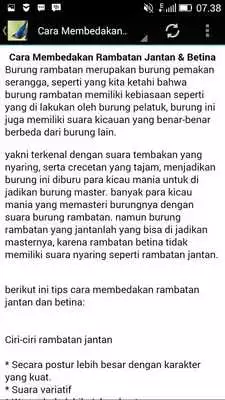 Play Kicau Burung Rambatan