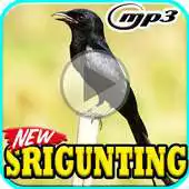 Free play online Kicau Burung Srigunting Gacor Mp3 APK Free play online Kicau Burung Srigunting Gacor Mp3 APK