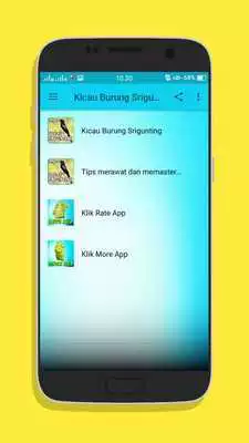 Play Kicau Burung Srigunting Gacor Mp3