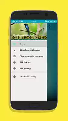 Play Kicau Burung Srigunting Gacor Mp3