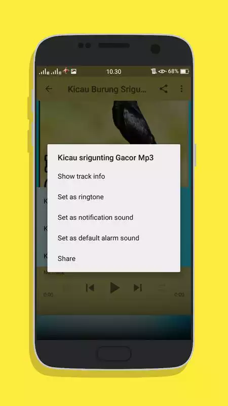 Play Kicau Burung Srigunting Gacor Mp3