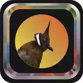 Free play online Kicau Cililin Master APK Free play online Kicau Cililin Master APK