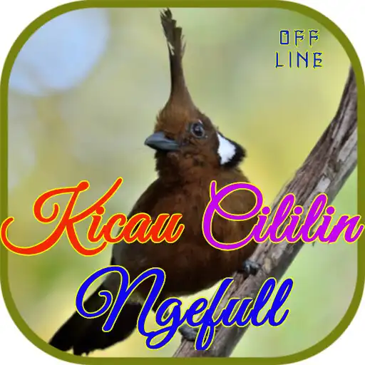 Play Kicau Cililin Ngefull OFFLINE APK