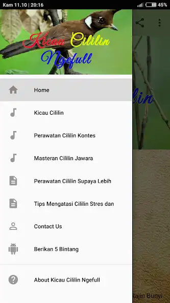 Play Kicau Cililin Ngefull OFFLINE  and enjoy Kicau Cililin Ngefull OFFLINE with UptoPlay