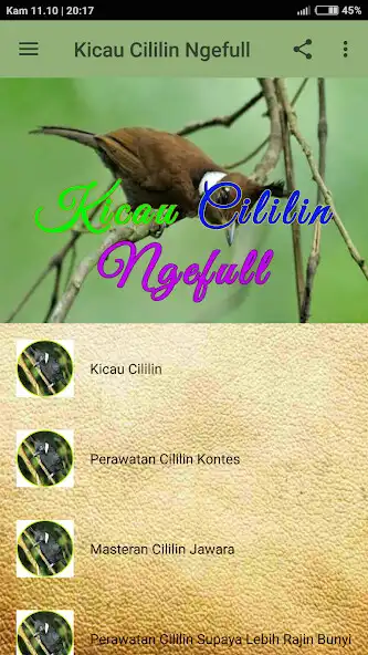 Play Kicau Cililin Ngefull OFFLINE as an online game Kicau Cililin Ngefull OFFLINE with UptoPlay