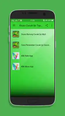 Play Kicau Cucak Ijo Top Juara Mp3