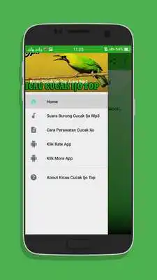 Play Kicau Cucak Ijo Top Juara Mp3