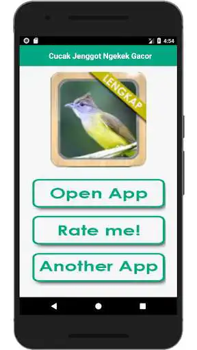 Play Kicau Cucak Jenggot Gacor