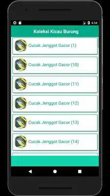 Play Kicau Cucak Jenggot Gacor