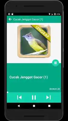 Play Kicau Cucak Jenggot Gacor