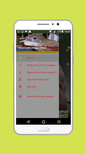 Play APK Kicau Cucak Jenggot Offline  and enjoy Kicau Cucak Jenggot Offline with UptoPlay com.prastowo.kicaucucakjenggotoffline