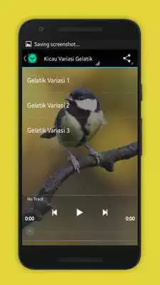 Play Kicau Gelatik Batu