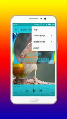 Play Kicau Hwamei Master Mp3 Offline