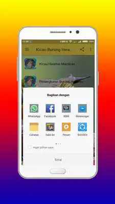 Play Kicau Hwamei Master Mp3 Offline