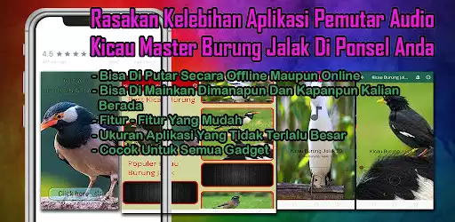 Play Kicau Jalak Suren Offline