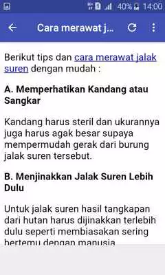 Play Kicau Jalak Suren Offline