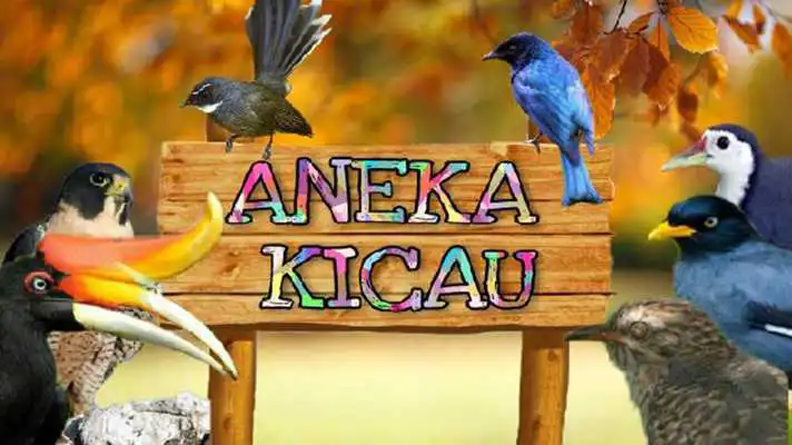 Play Kicau Kenari Gunung/Melayu