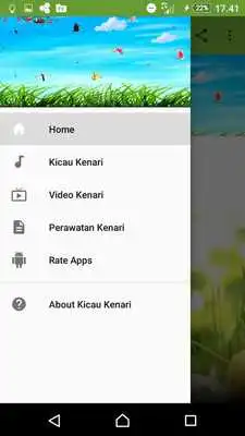 Play Kicau Kenari