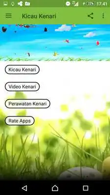 Play Kicau Kenari