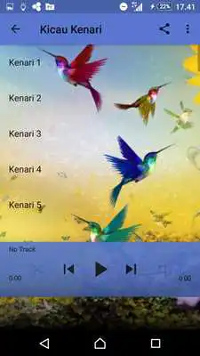 Play Kicau Kenari