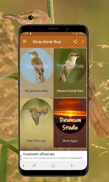 Play Kicau Kerak Basi Offline as an online game Kicau Kerak Basi Offline with UptoPlay