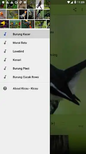 Play Kicau-kicau Burung terbaik Mp3  and enjoy Kicau-kicau Burung terbaik Mp3 with UptoPlay