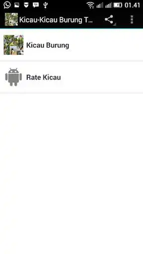 Play Kicau-Kicau Burung Terlengkap