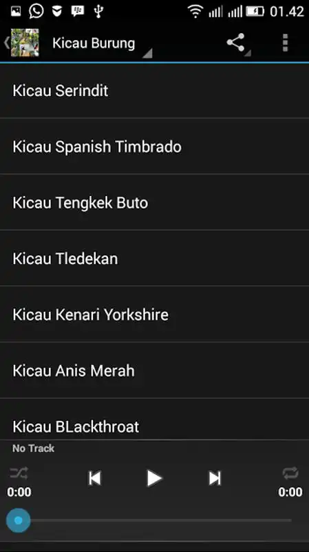 Play Kicau-Kicau Burung Terlengkap
