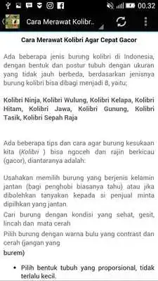 Play Kicau Kolibri Madu