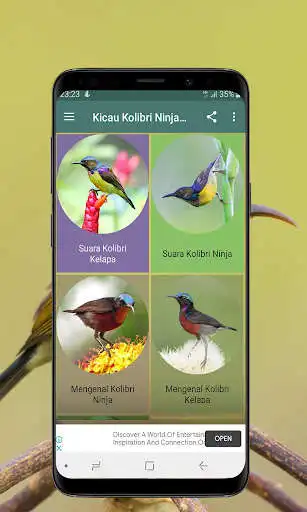Play Kicau Kolibri Ninja dan Kelapa Offline as an online game Kicau Kolibri Ninja dan Kelapa Offline with UptoPlay