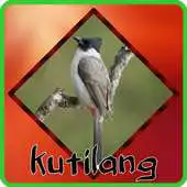 Free play online Kicau Kutilang Jawa APK Free play online Kicau Kutilang Jawa APK