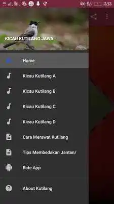 Play Kicau Kutilang Jawa