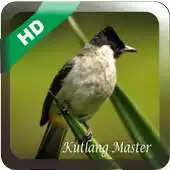 Free play online Kicau Kutilang Master APK