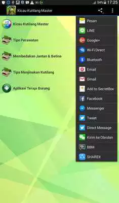 Play Kicau Kutilang Master Play Kicau Kutilang Master