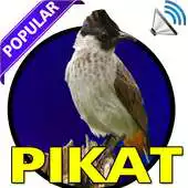 Free play online Kicau Kutilang Pikat JOSS APK Free play online Kicau Kutilang Pikat JOSS APK