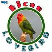 Free play online Kicau Lovebird Jawara Paud APK Free play online Kicau Lovebird Jawara Paud APK