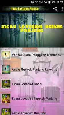 Play Kicau Lovebird Ngekek Panjang