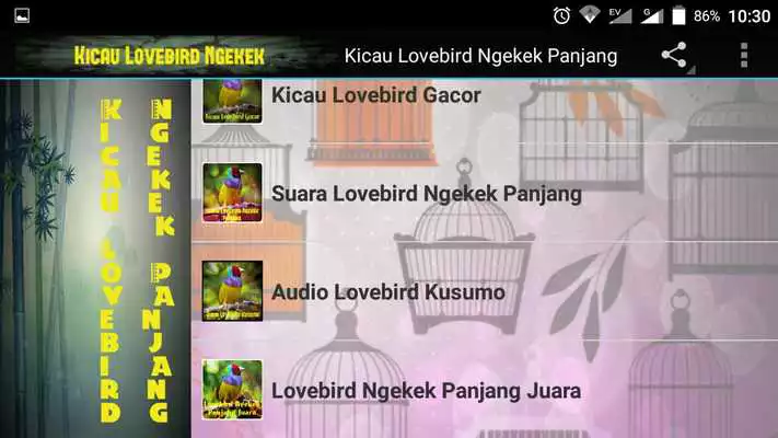 Play Kicau Lovebird Ngekek Panjang