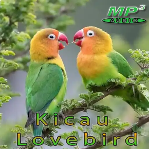 Play Kicau Love Bird Offline APK