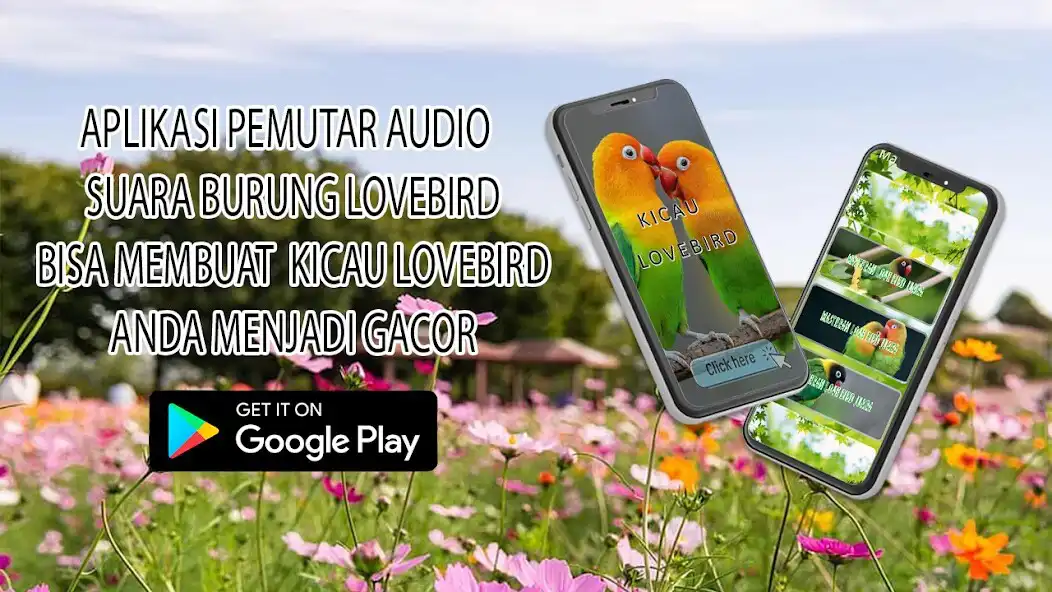 Play Kicau Love Bird Offline  and enjoy Kicau Love Bird Offline with UptoPlay