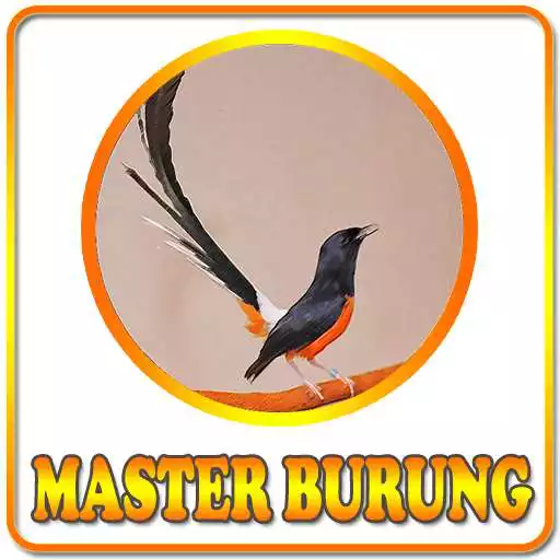 Play Kicau Master Burung APK
