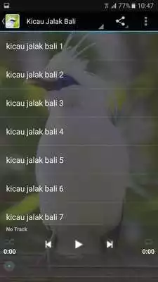 Play Kicau Master Jalak Bali Gacor