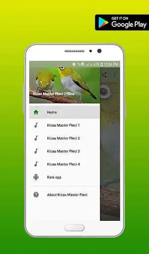 Play Kicau Master Pleci  and enjoy Kicau Master Pleci with UptoPlay