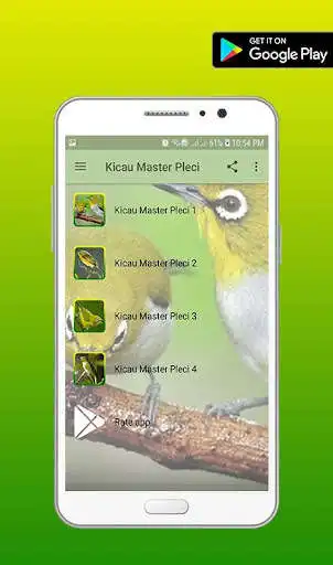 Play Kicau Master Pleci as an online game Kicau Master Pleci with UptoPlay