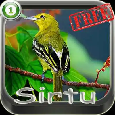 Play kicau master sirtu