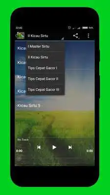 Play kicau master sirtu