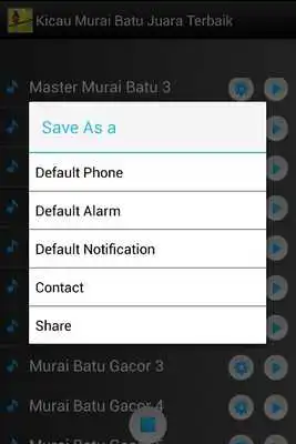 Play Kicau Murai Batu Juara Terbaik