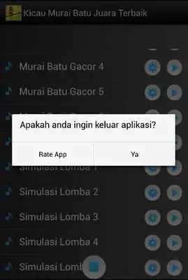 Play Kicau Murai Batu Juara Terbaik