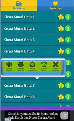 Play Kicau Murai Batu Lengkap
